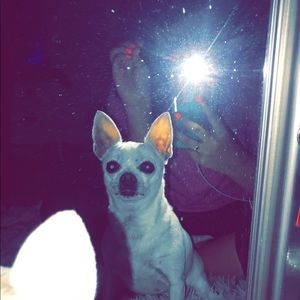 Meet your Posher, Leanna